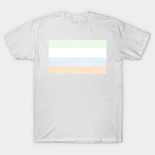 Unlabeled Pride Flag T-Shirt